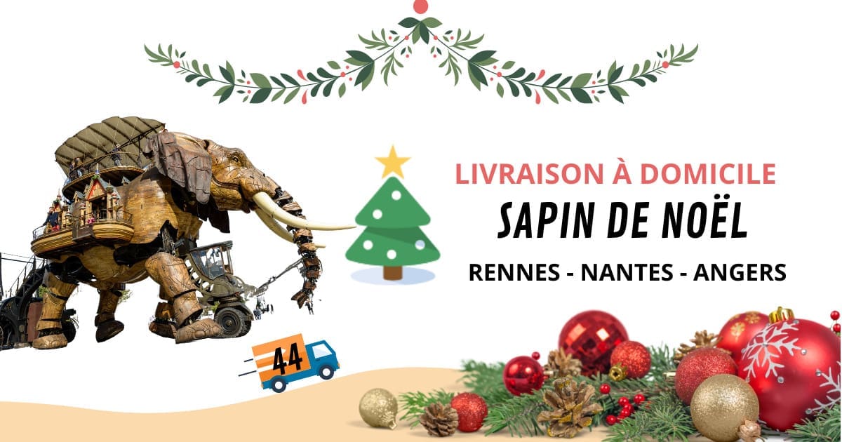 Se faire livrer sapin Noël Domicile Nantes